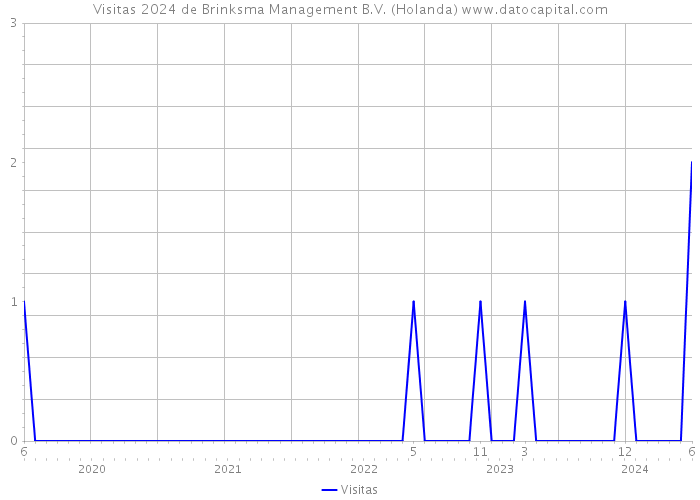 Visitas 2024 de Brinksma Management B.V. (Holanda) 