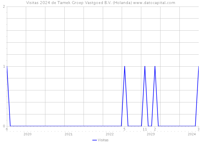 Visitas 2024 de Tamek Groep Vastgoed B.V. (Holanda) 