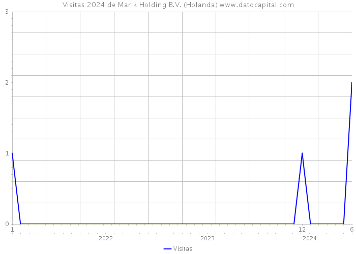 Visitas 2024 de Marik Holding B.V. (Holanda) 