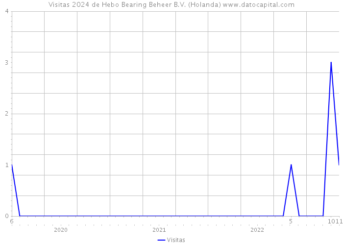 Visitas 2024 de Hebo Bearing Beheer B.V. (Holanda) 