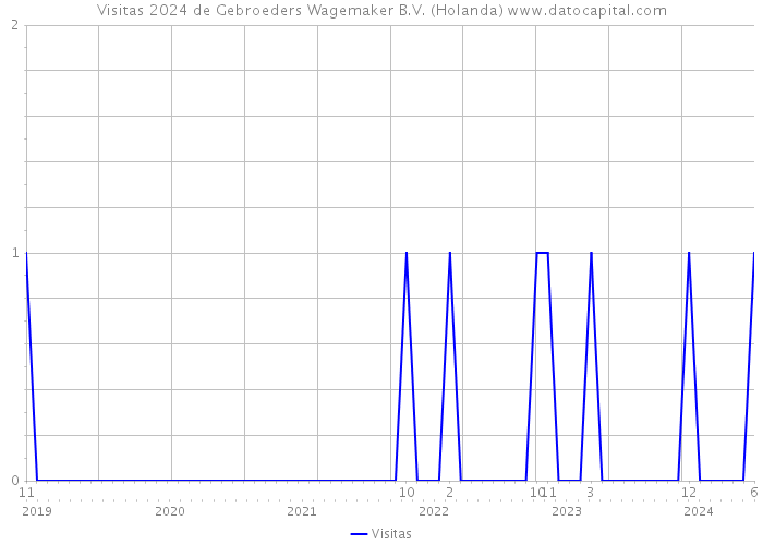 Visitas 2024 de Gebroeders Wagemaker B.V. (Holanda) 