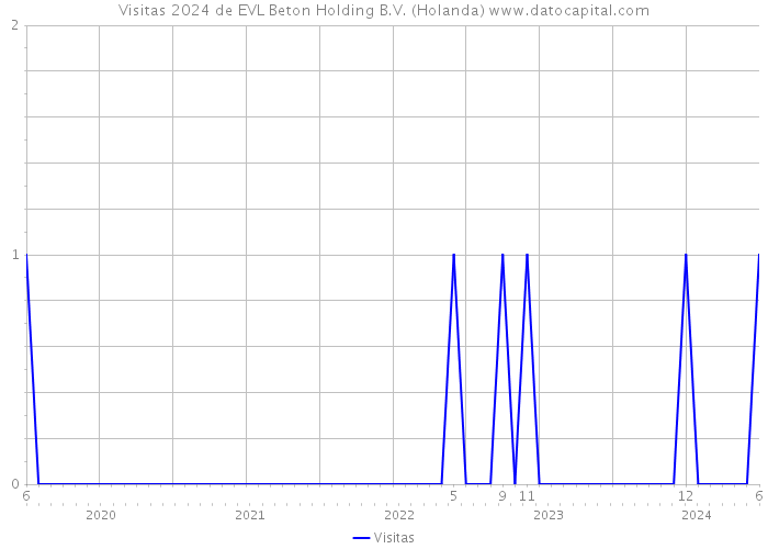 Visitas 2024 de EVL Beton Holding B.V. (Holanda) 