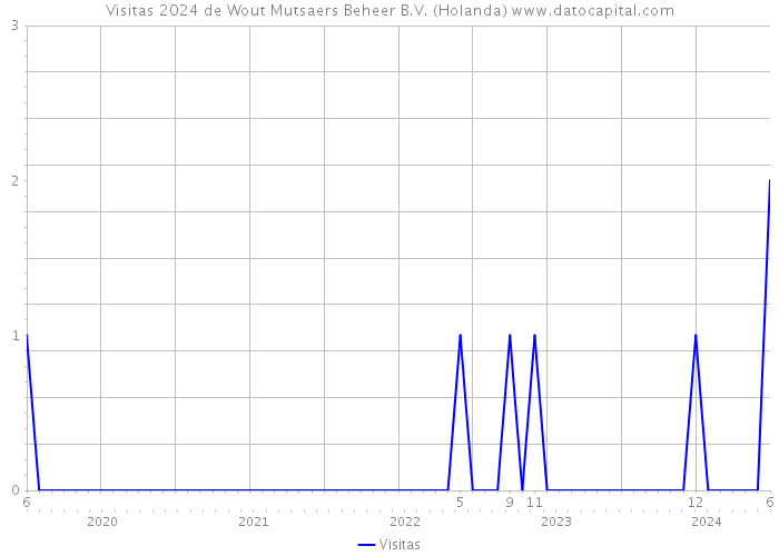 Visitas 2024 de Wout Mutsaers Beheer B.V. (Holanda) 