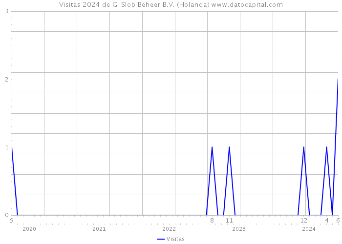 Visitas 2024 de G. Slob Beheer B.V. (Holanda) 