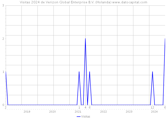 Visitas 2024 de Verizon Global Enterprise B.V. (Holanda) 