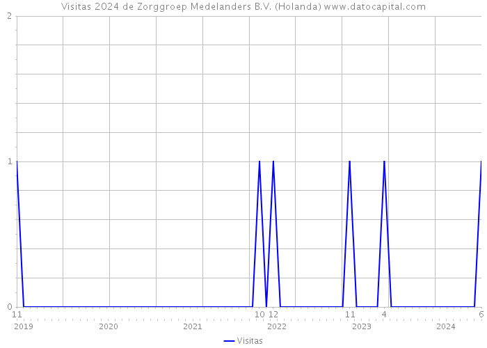 Visitas 2024 de Zorggroep Medelanders B.V. (Holanda) 