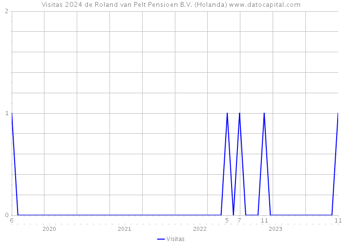 Visitas 2024 de Roland van Pelt Pensioen B.V. (Holanda) 