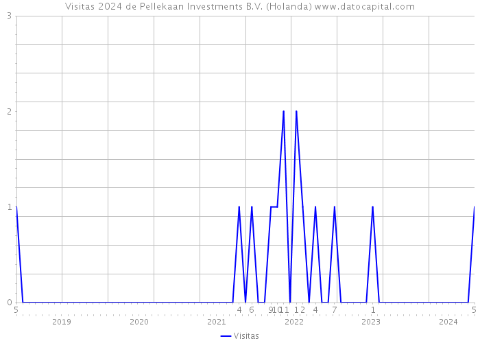 Visitas 2024 de Pellekaan Investments B.V. (Holanda) 