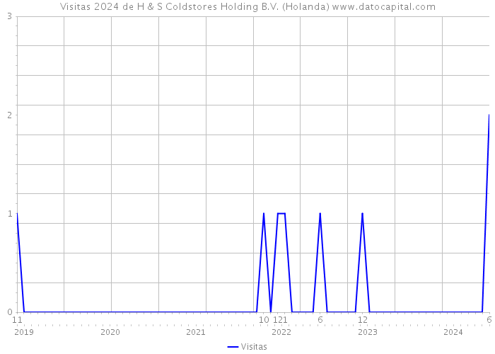 Visitas 2024 de H & S Coldstores Holding B.V. (Holanda) 