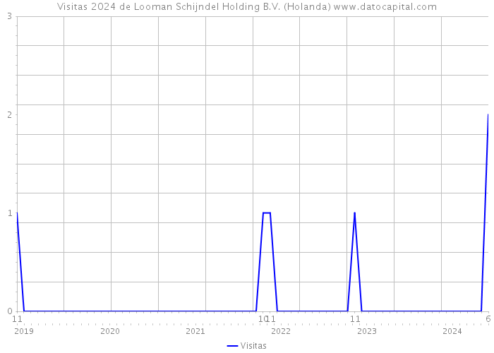 Visitas 2024 de Looman Schijndel Holding B.V. (Holanda) 