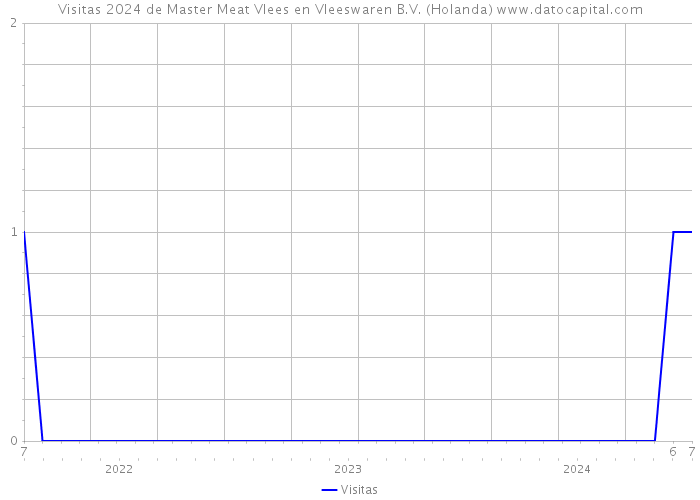 Visitas 2024 de Master Meat Vlees en Vleeswaren B.V. (Holanda) 