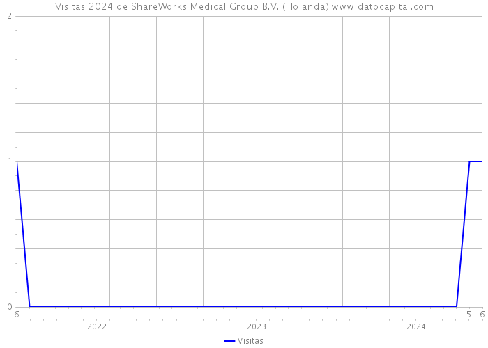 Visitas 2024 de ShareWorks Medical Group B.V. (Holanda) 