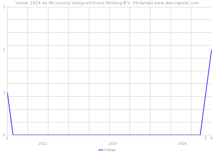 Visitas 2024 de Woonzorg Vastgoed Invest Holding B.V. (Holanda) 