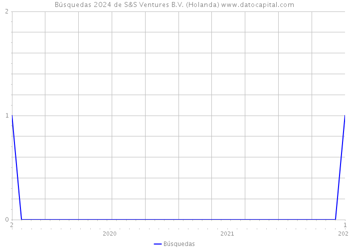 Búsquedas 2024 de S&S Ventures B.V. (Holanda) 