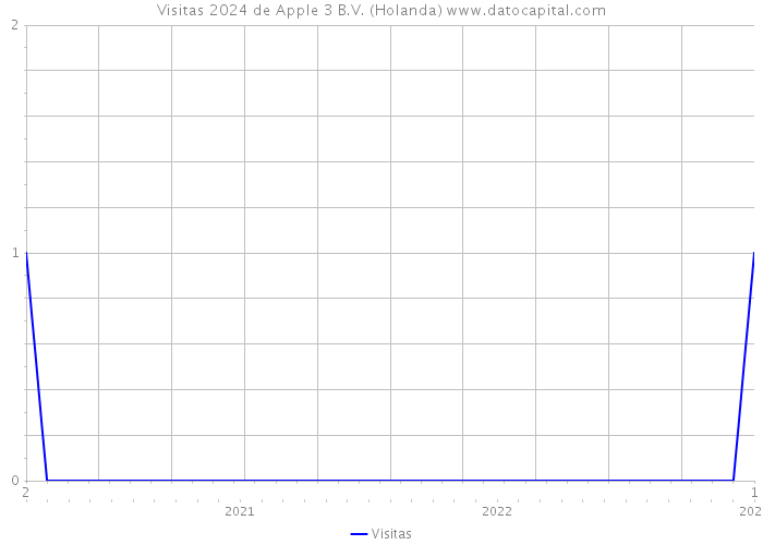 Visitas 2024 de Apple 3 B.V. (Holanda) 