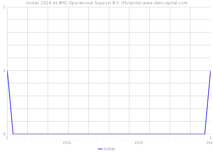 Visitas 2024 de BHG Operational Support B.V. (Holanda) 