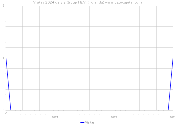 Visitas 2024 de BIZ Group I B.V. (Holanda) 