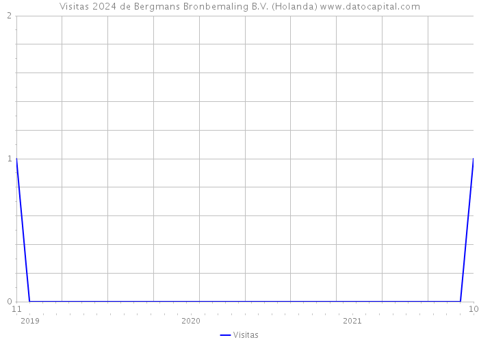 Visitas 2024 de Bergmans Bronbemaling B.V. (Holanda) 