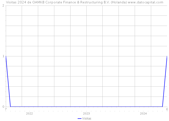Visitas 2024 de OAMKB Corporate Finance & Restructuring B.V. (Holanda) 