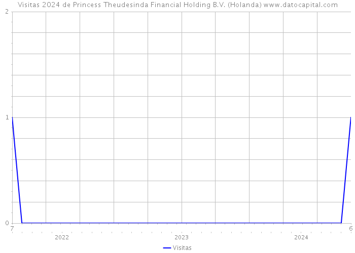Visitas 2024 de Princess Theudesinda Financial Holding B.V. (Holanda) 
