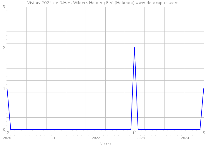 Visitas 2024 de R.H.M. Wilders Holding B.V. (Holanda) 