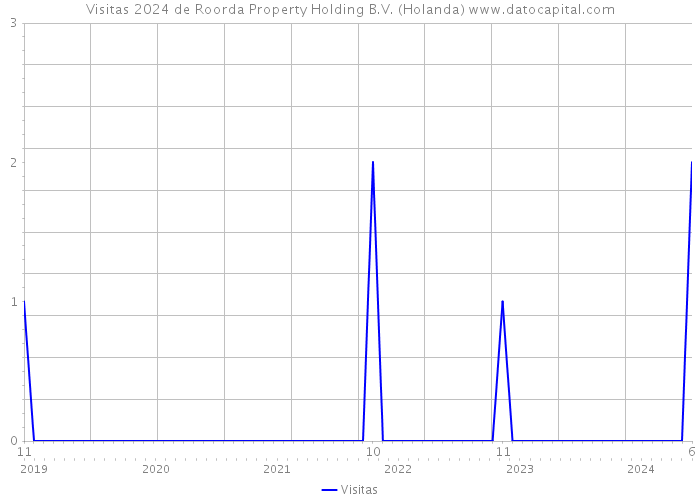 Visitas 2024 de Roorda Property Holding B.V. (Holanda) 