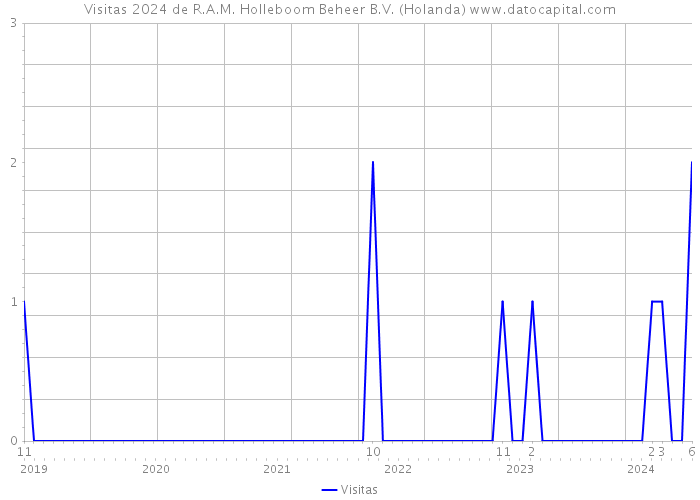 Visitas 2024 de R.A.M. Holleboom Beheer B.V. (Holanda) 