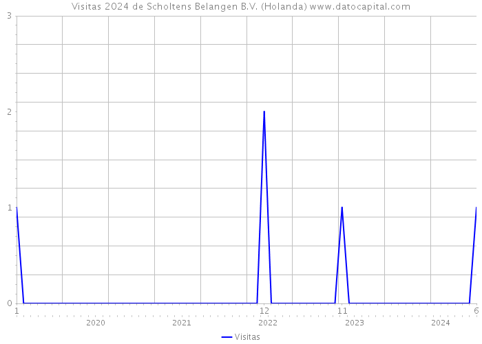 Visitas 2024 de Scholtens Belangen B.V. (Holanda) 