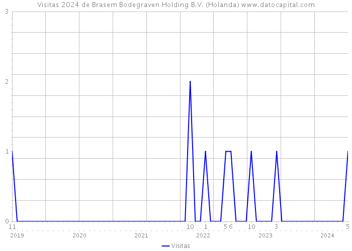 Visitas 2024 de Brasem Bodegraven Holding B.V. (Holanda) 