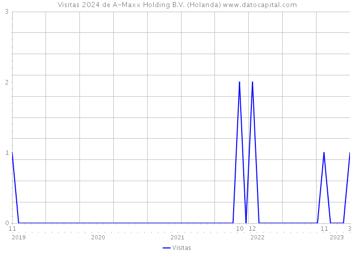 Visitas 2024 de A-Maxx Holding B.V. (Holanda) 