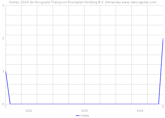 Visitas 2024 de Hoogveld Transport Rosmalen Holding B.V. (Holanda) 