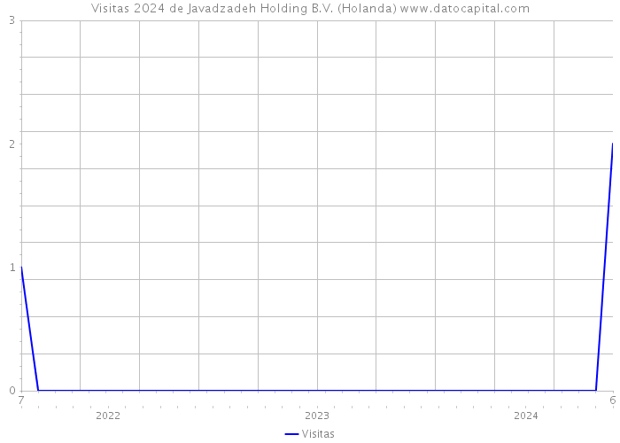 Visitas 2024 de Javadzadeh Holding B.V. (Holanda) 