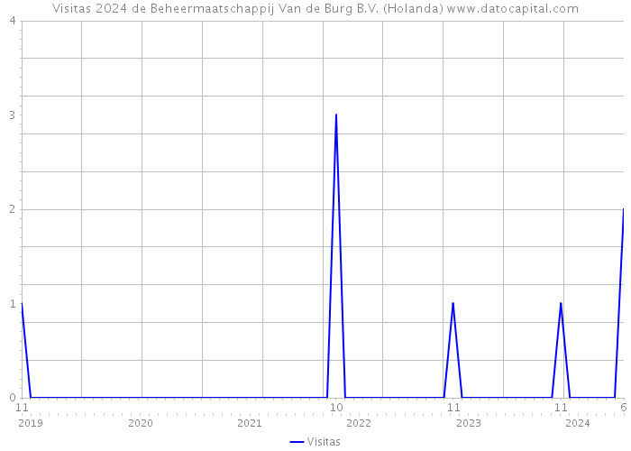 Visitas 2024 de Beheermaatschappij Van de Burg B.V. (Holanda) 