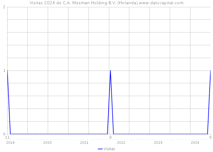 Visitas 2024 de C.A. Mesman Holding B.V. (Holanda) 