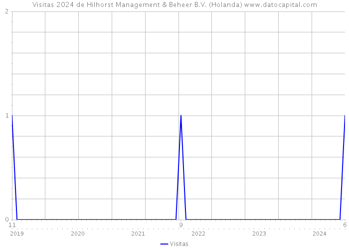 Visitas 2024 de Hilhorst Management & Beheer B.V. (Holanda) 