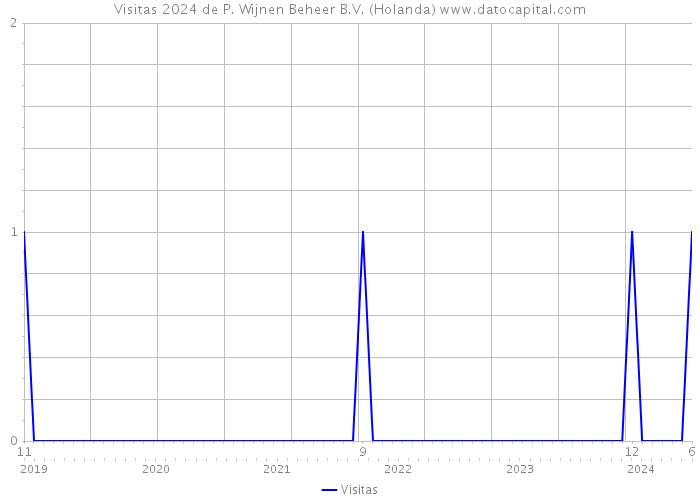 Visitas 2024 de P. Wijnen Beheer B.V. (Holanda) 