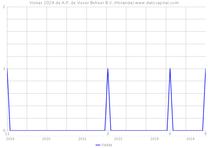 Visitas 2024 de A.P. de Visser Beheer B.V. (Holanda) 