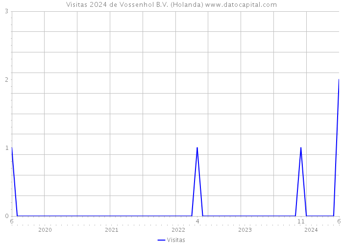 Visitas 2024 de Vossenhol B.V. (Holanda) 