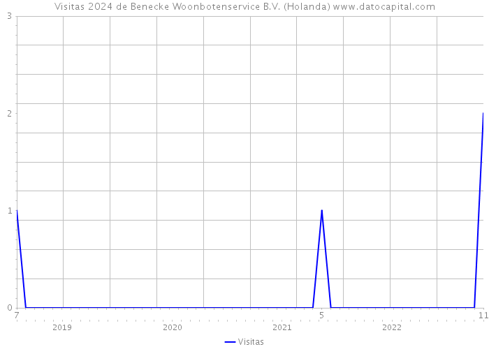 Visitas 2024 de Benecke Woonbotenservice B.V. (Holanda) 