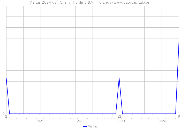 Visitas 2024 de I.C. Snel Holding B.V. (Holanda) 