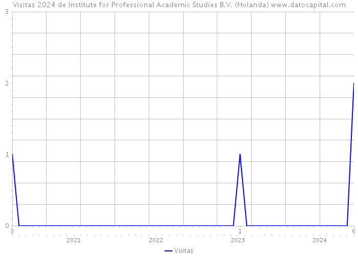 Visitas 2024 de Institute for Professional Academic Studies B.V. (Holanda) 