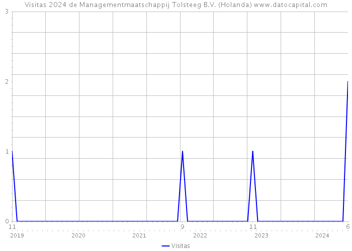 Visitas 2024 de Managementmaatschappij Tolsteeg B.V. (Holanda) 