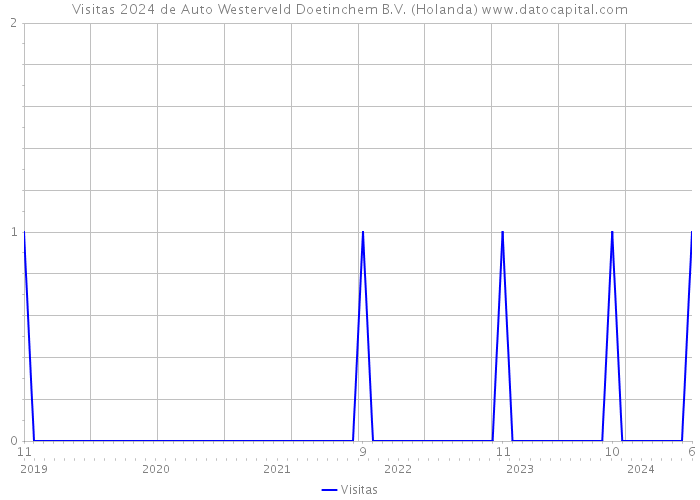 Visitas 2024 de Auto Westerveld Doetinchem B.V. (Holanda) 