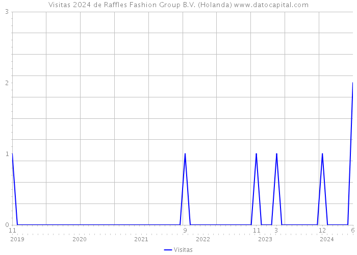 Visitas 2024 de Raffles Fashion Group B.V. (Holanda) 