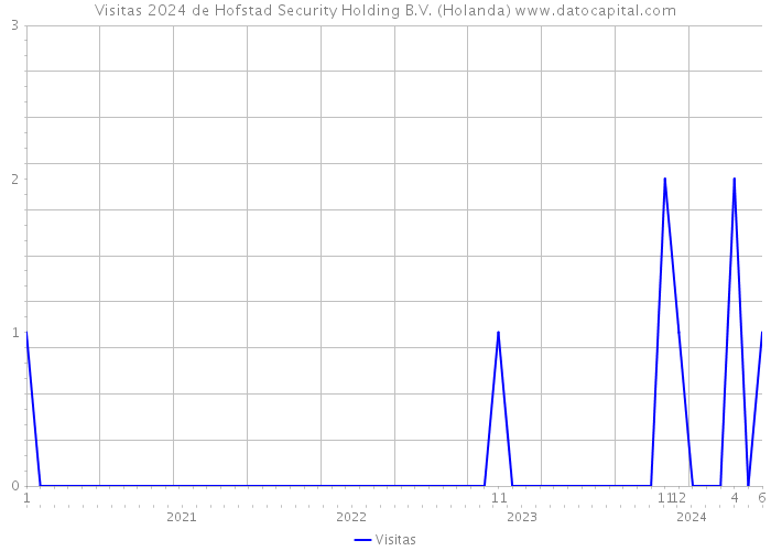 Visitas 2024 de Hofstad Security Holding B.V. (Holanda) 