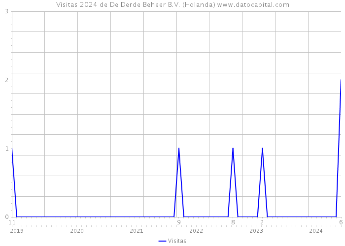 Visitas 2024 de De Derde Beheer B.V. (Holanda) 