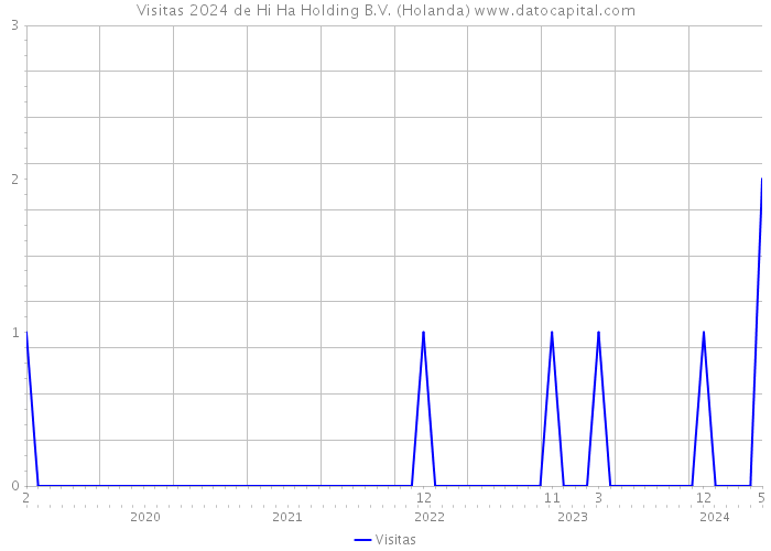 Visitas 2024 de Hi Ha Holding B.V. (Holanda) 