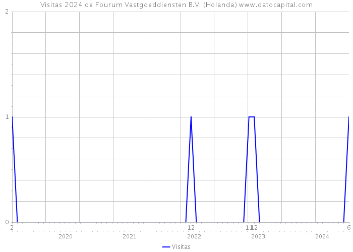 Visitas 2024 de Fourum Vastgoeddiensten B.V. (Holanda) 