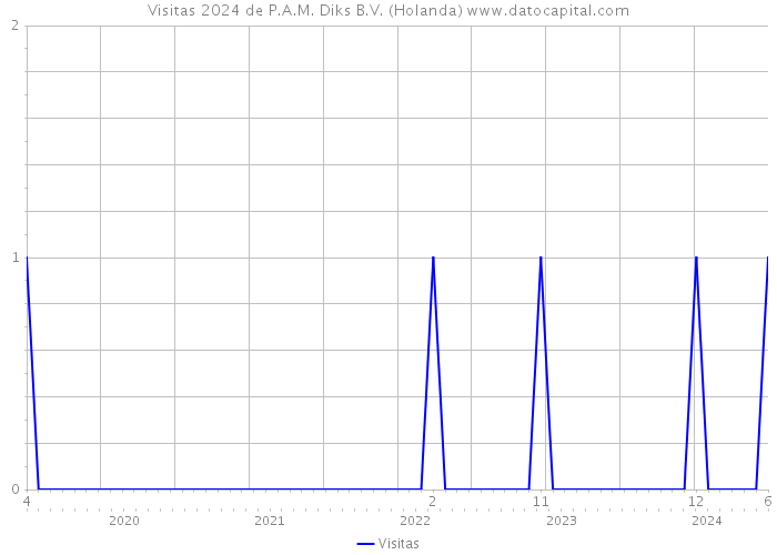 Visitas 2024 de P.A.M. Diks B.V. (Holanda) 