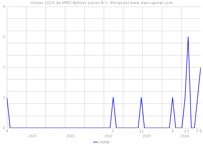 Visitas 2024 de MMC Beheer Lieren B.V. (Holanda) 